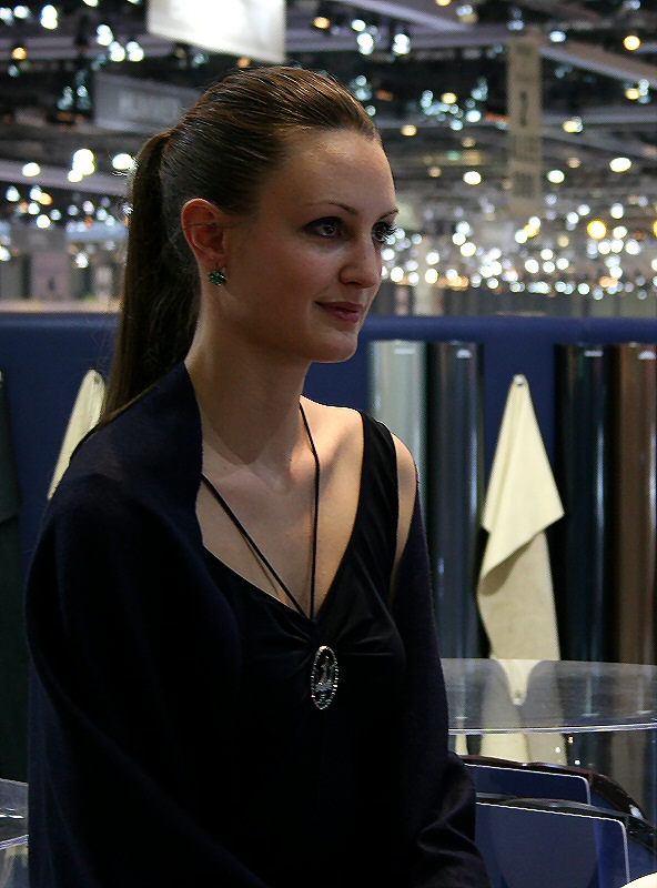 Autosalon-Genf 219b.jpg