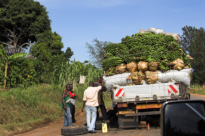 uganda-0807k.jpg